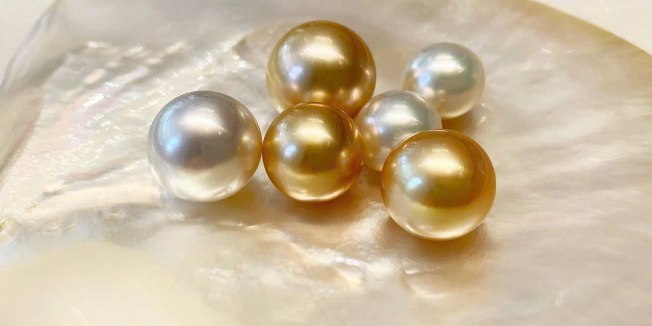 NGỌC TRAI SOUTHSEA